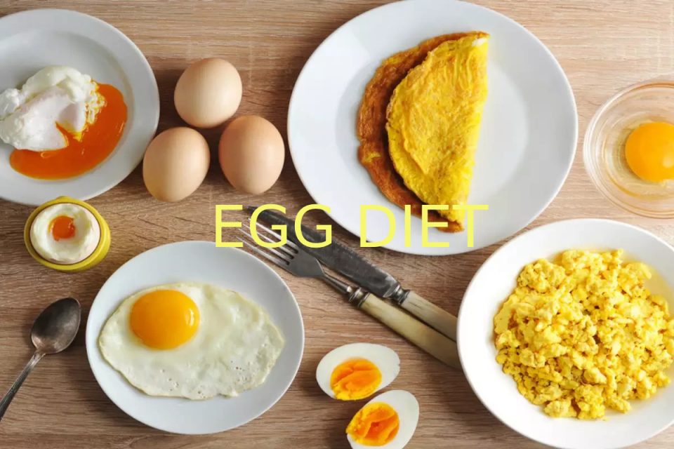 egg diet