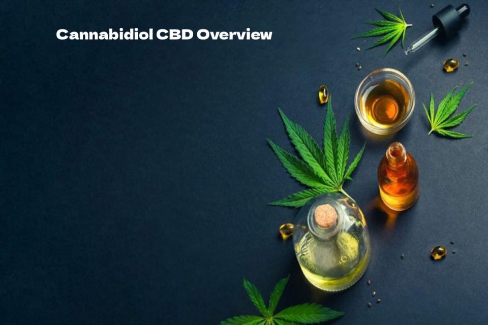 cannabidiol cbd overview