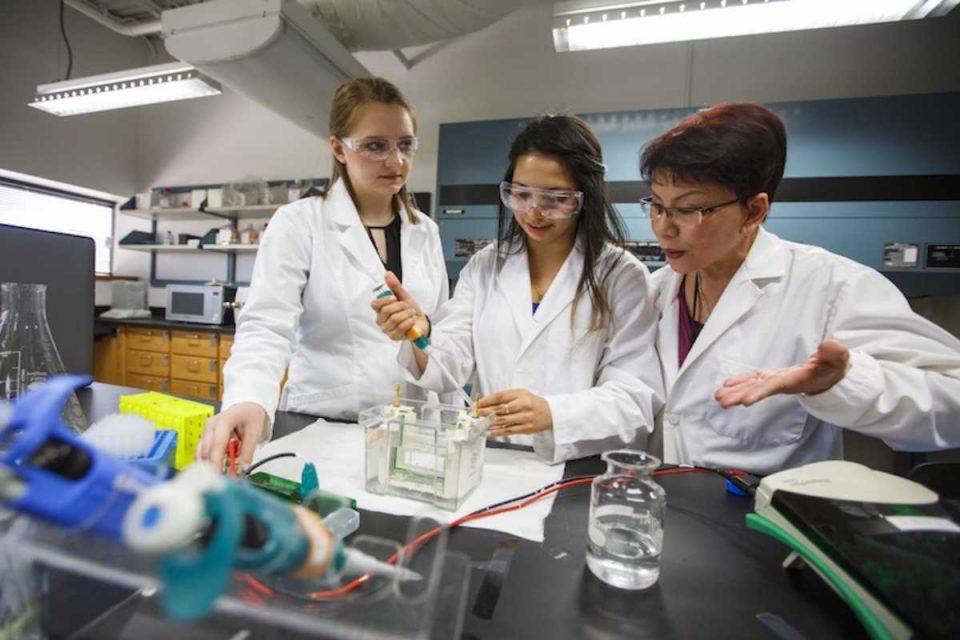 Is a bachelor’s degree in pharmacy worth opting for?