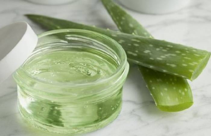 Aloe Vera Write For Us