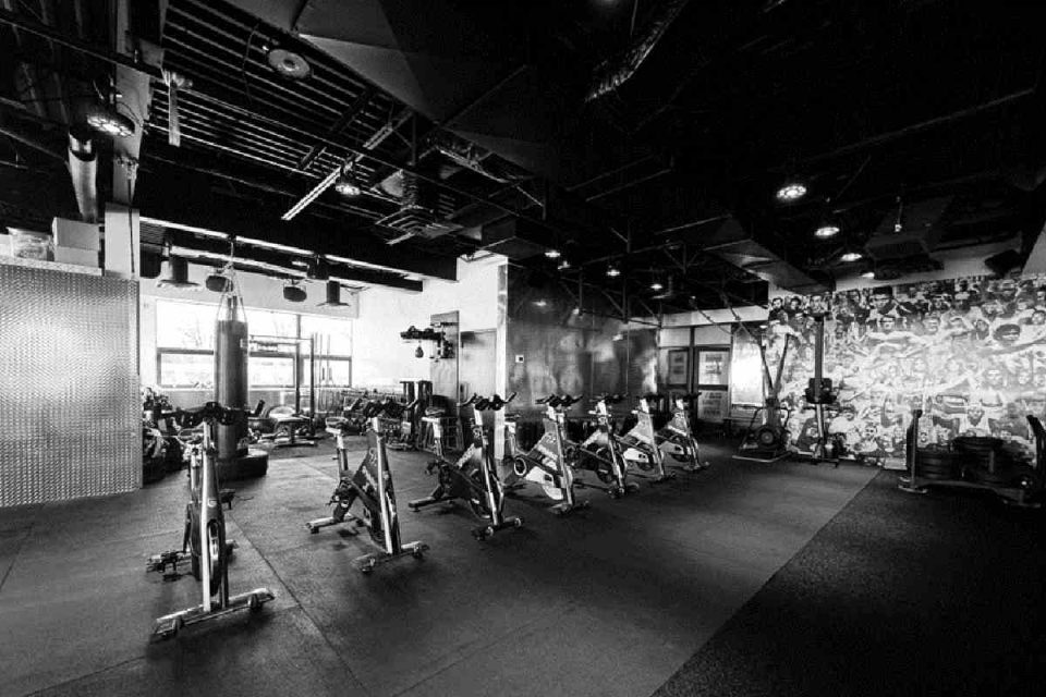 Meet the ProFit365X Trainers_ Leaders in Fitness Innovation