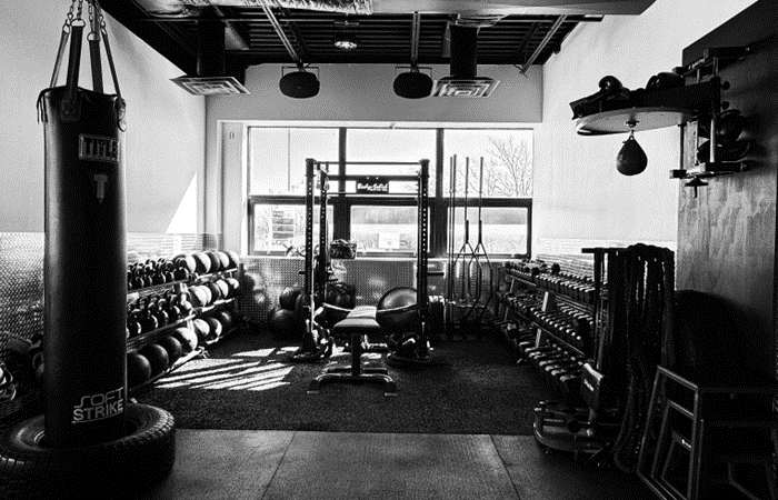 Transforming Fitness: The ProFit365X Health Bank Model