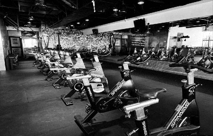 Transforming Fitness: The ProFit365X Health Bank Model