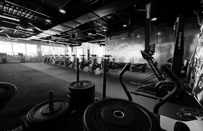 Transforming Fitness: The ProFit365X Health Bank Model
