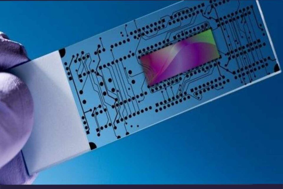 no blood draw required