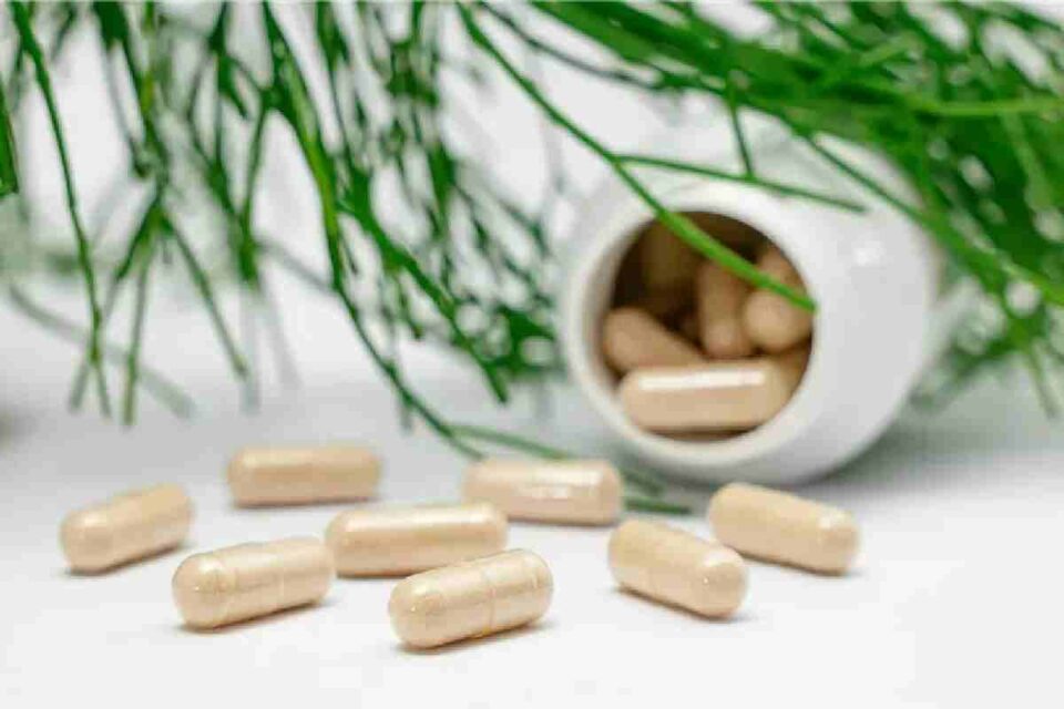 best supplements